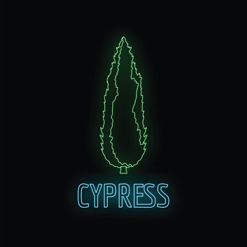 Cypress tree icon in glowing neon style with text on a dark background