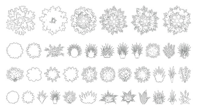 CAD landscape plants top view line drawing set, outline shrubs grasses leaves and garden plant symbols for architecture landscape design site plan vector illustration