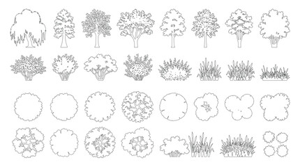 CAD trees shrubs and grass line drawing set, side view and top view outline plant symbols for architecture landscape design site plan vector illustration © Rumelaz