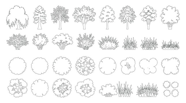 CAD trees shrubs and grass line drawing set, side view and top view outline plant symbols for architecture landscape design site plan vector illustration