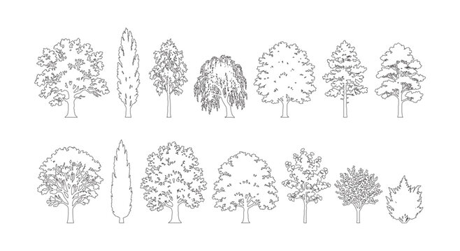 CAD tree line drawing set, side view outline deciduous willow cypress and pine tree symbols for architecture landscape design vector illustration