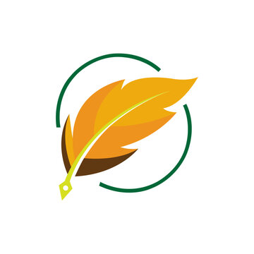 Autumn leaves and feather vector illustration design with nature plant bird wing quill symbol decorative art elements