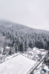 Fototapeta premium Snow-covered farmland and forests in winter