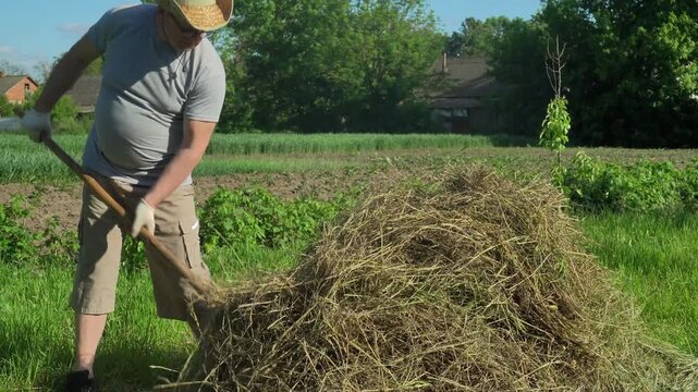 A farmer in a gray shirt and shorts is actively harvesting hay with a pitchfork from a large pile in a sunny garden, surrounded by green grass, trees and a rural landscape in the background