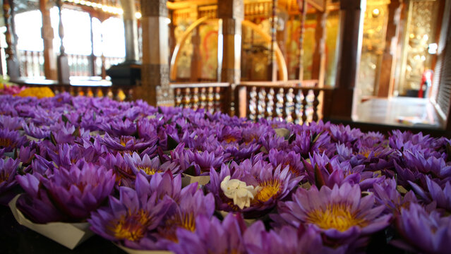 Templo del diente (Sri Dalada Maligawa) a.1592-5, Kandy (Sri Lanka)