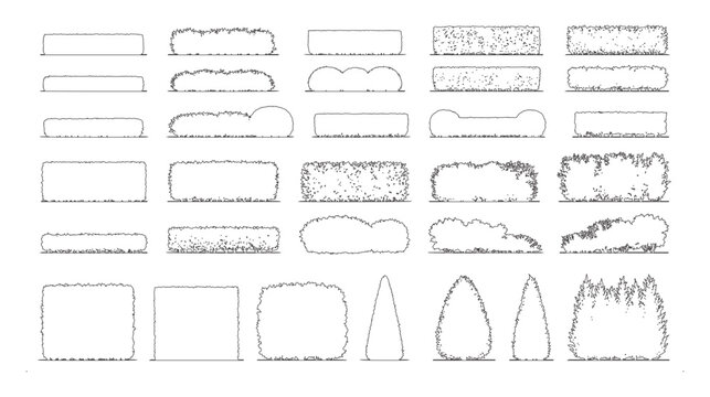 CAD hedge and shrub elevation line drawing set, outline garden borders topiary bushes and landscape plant symbols for architecture design vector illustration