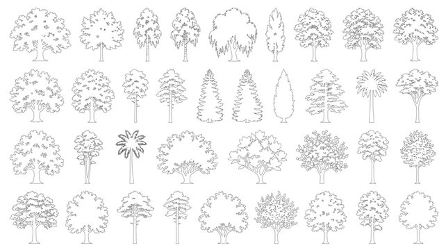 CAD trees line drawing collection, side view outline deciduous pine palm willow and garden tree symbols for architecture landscape design vector illustration