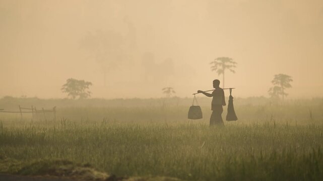 Bogura, Bangladesh - 17 May 2026: View of a silhouetted farmer carrying a yoke with baskets across a misty field during a golden sunrise.