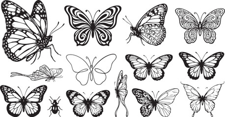 Butterfly collection featuring various detailed insect silhouettes and artistic line art designs isolated for creative graphic projects including nature themes and decorative spring garden elements © Ajoy