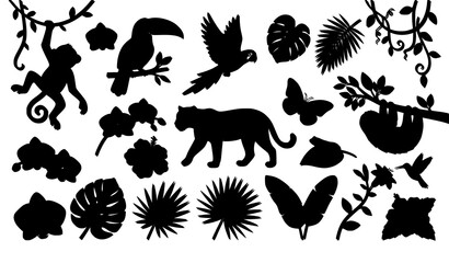 Wild Rainforest Animals Birds Flowers and Tropical Leaves Vector Illustration Collection © Rashel12
