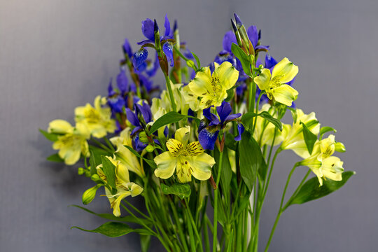 Blue iris and yellow lily bouquet. Fresh bouquet of blue irises and yellow lilies with green leaves against a soft gray background, ideal for floral design.