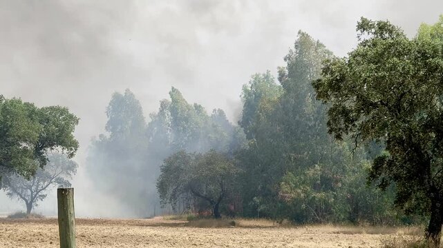 Helic&oacute;pteros combaten un gran incendio