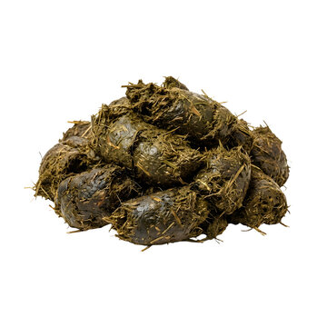 Pile of green horse manure with hay and grass isolated on transparent background