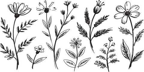 Vector illustration set of floral flowers and leaves with decorative seamless pattern design © imoboy