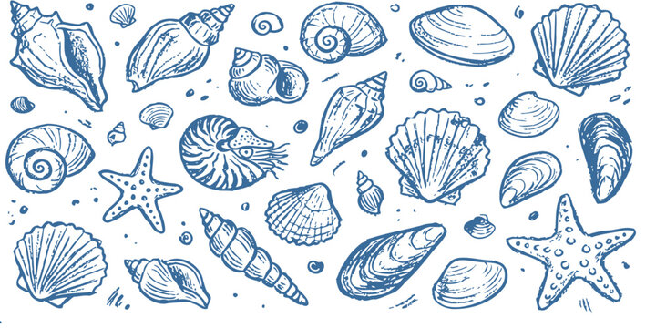 Hand drawn blue ink sketch collection of various sea shells and starfish scattered on a white background creating a beautiful nautical pattern for marine themed designs