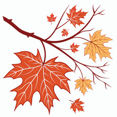 Fototapeta premium Maple tree branch with autumn fall leaves illustration woodland botanical illustration seasonal november september