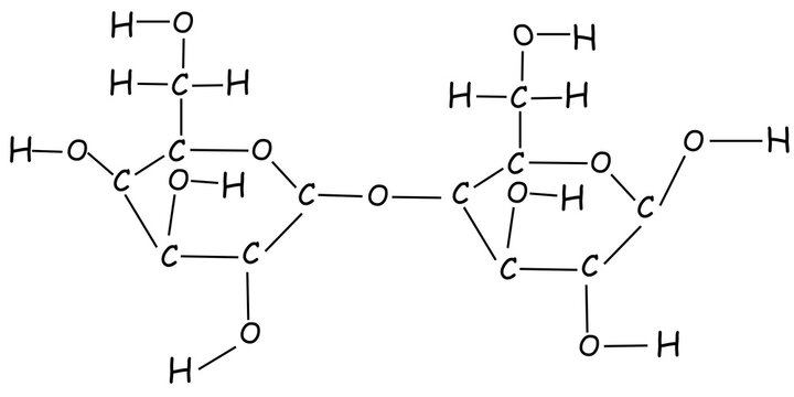 drawing of a lactose molecule
