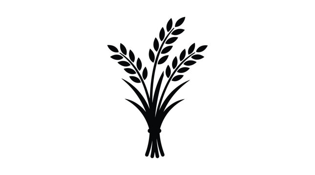Wheat stalks silhouette on a white background simple botanical illustration