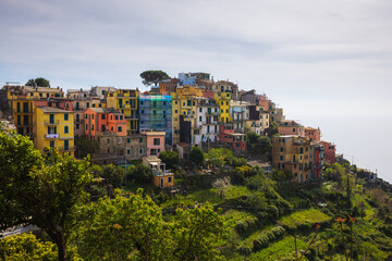 Fototapeta premium In the historic center of Corniglia