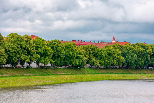 longest linden alley in europe on the Uzh river embankment. lime trees on a sunny summer afternoon. travel destination of transcarpathia. uzhhorod street cityscape beauty