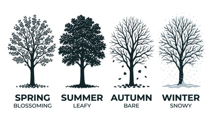 Obraz premium Four distinct trees showing the seasonal changes of spring summer autumn and winter in nature
