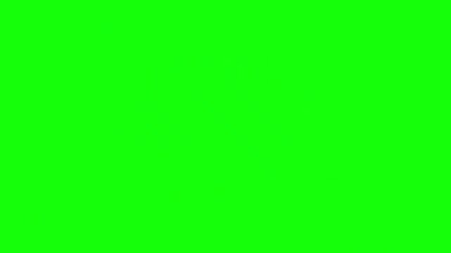 Animated have a great day text sticker with a cute sparkling style on a bright green chroma key.