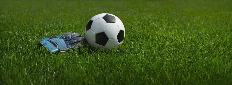 green grass texture with a soccer ball and goalkeeper gloves - well-groomed turf.