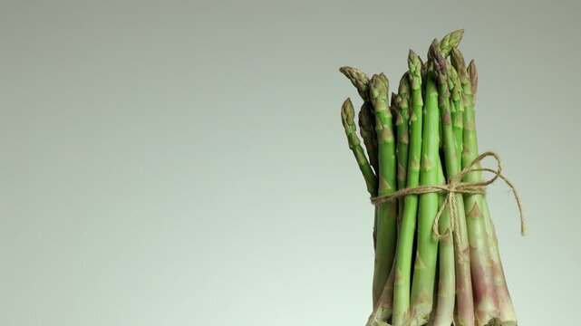 Fresh bunch of  green asparagus officinalis tied with string spinning and turning while presenting edible shoots on grey background