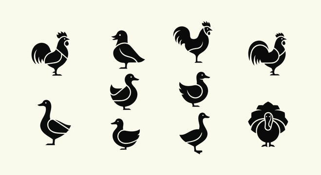 Farm Birds Icons Set: Chicken, Duck, Turkey Silhouettes on Cream Background