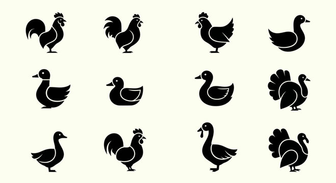 Farm Birds Silhouettes: Rooster, Chicken, Duck, Turkey Icons Set