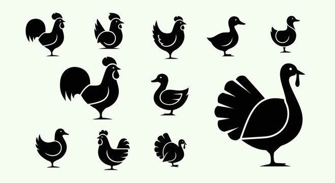 Farm Poultry Icons: Chicken, Duck, Turkey Silhouettes