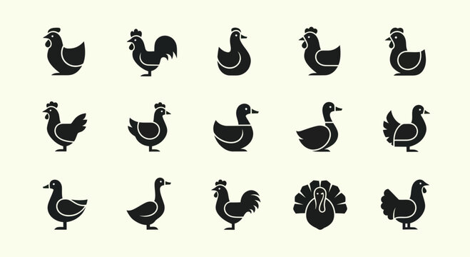 Farm Poultry Icons: Chicken, Rooster, Duck, Turkey Silhouettes Collection