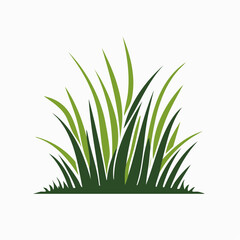 Fototapeta premium Stylized illustration of green grass blades