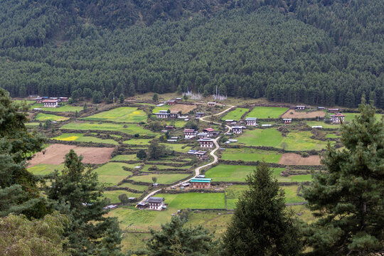 Phobjikha Tal Bhutan
