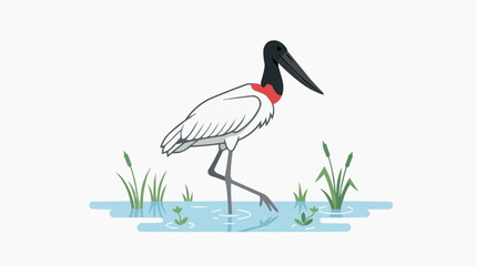 Naklejka premium Jabiru stork wading in shallow water with reeds and aquatic plants PNG Isolated on transparent background