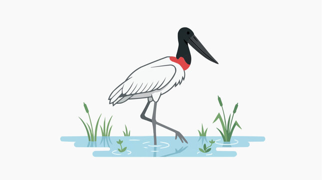 Jabiru stork wading in shallow water with reeds and aquatic plants PNG Isolated on transparent background