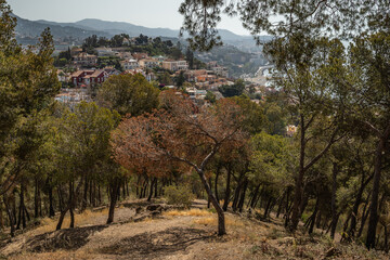 Fototapeta premium Scenic Hillside View over Residential Area in Málaga. View on Houses from Hill with Trees during Afternoon in Southern Spain.