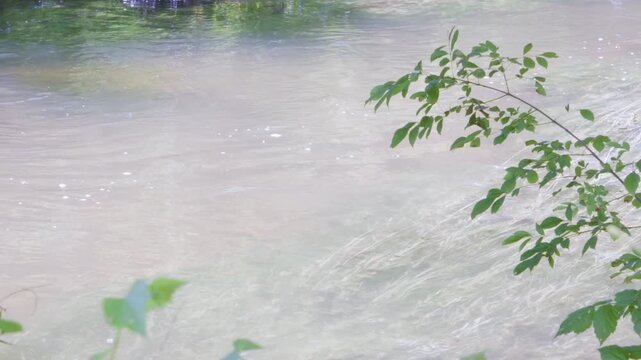 Water flowing slowly in a small Texas river
