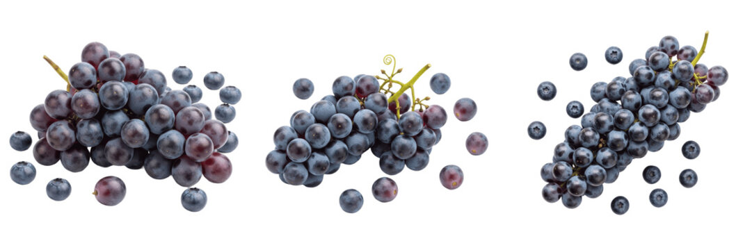Set and collection of fresh organic black seedless grapes cluster sweet ripe harvest fruit crop isolated on white transparent png background
