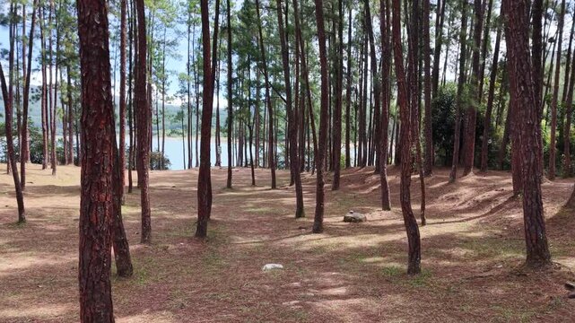 Parque Nacional La Yeguada
