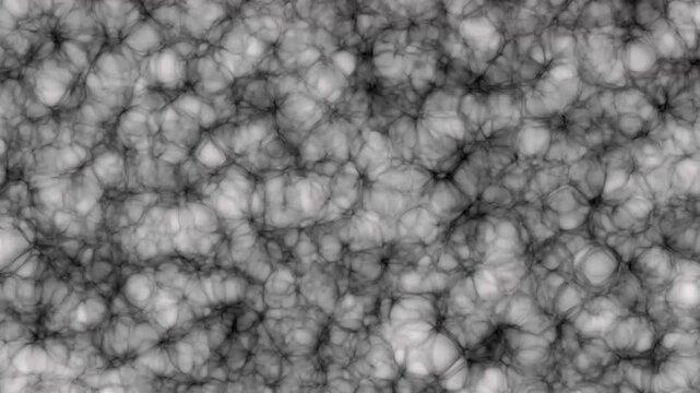 Abstract cellular patterns form a modern geometric layout grid. Seamless cellular patterns provide an elegant text overlay backdrop. Creative motion design utilizing cellular patterns.