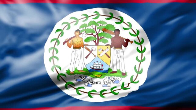 Coat of arms emblem of Belize waving on flag with tropical leaves and shield design in vibrant colors