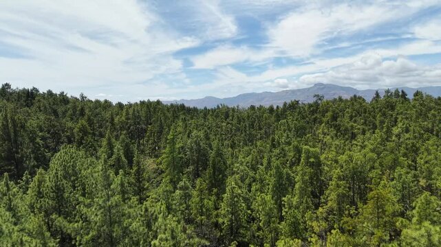 Parque Nacional La Yeguada