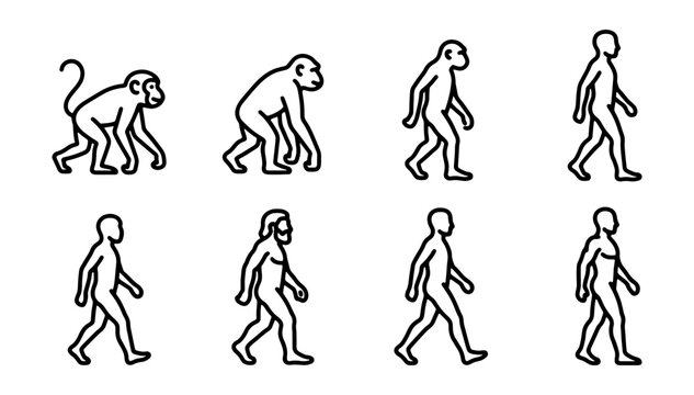 Evolution of Man Icons, Primate to Human Stages, Walking Sequence Vector Set