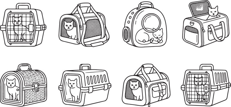 Cats in portable carriers and travel bags for transport