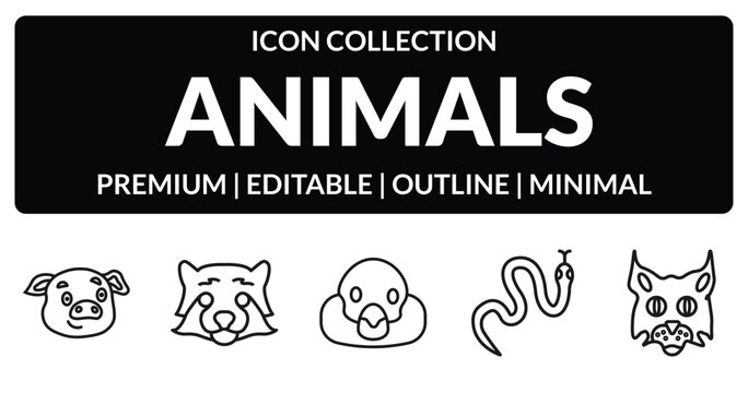 outline animals icons set - pig, red panda, cottonmouth, pallas cat. editable vector for web and mobile ui
