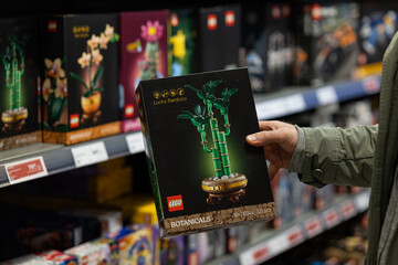 Obraz premium Wroclaw, Poland- February 27 , 2026. Customer holds a Lego Botanicals Lucky Bamboo toy box in a supermarket store. Adult building blocks series, hobby collection and leisure gaming