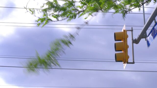 Tree branches blowing and moving on a windy day, next to an intersection traffic light hanging overhead.
