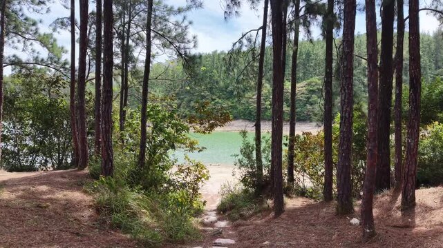Parque Nacional La Yeguada