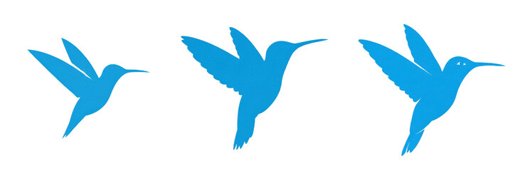 Fototapeta premium Set and collection of bright blue hummingbird silhouette flying wild small bird animal isolated on white transparent png background